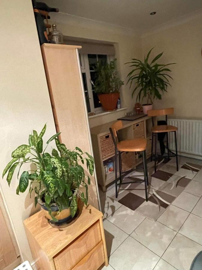 Cozy Homestay クロイドン エクステリア 写真