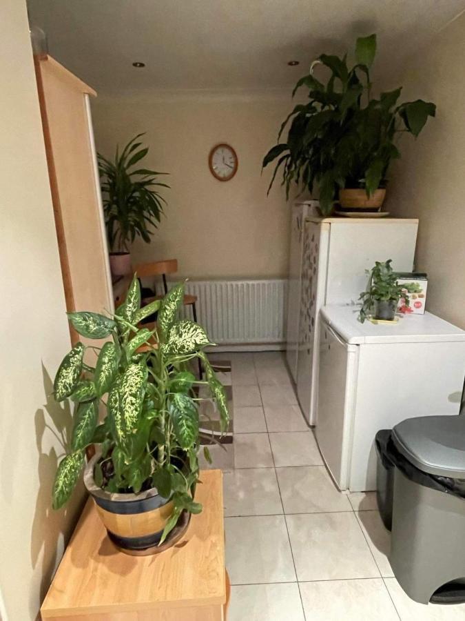 Cozy Homestay クロイドン エクステリア 写真